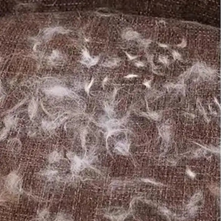Sofá lleno de pelo de mascota